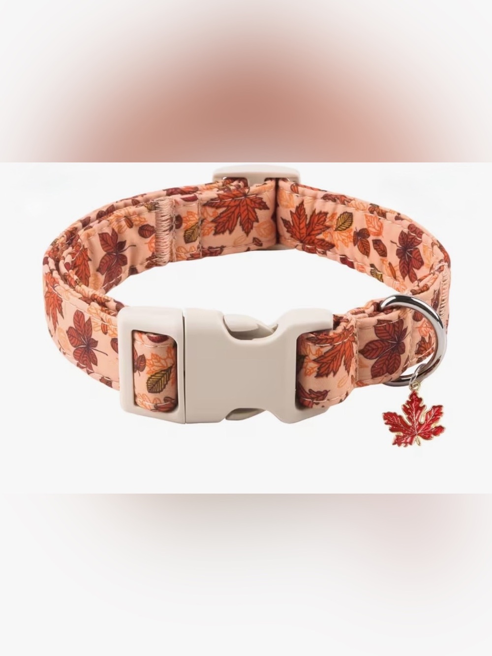 Autumn Leaf Print Dog Collar. Adjustable. Leaf charm. X Small. Last one.